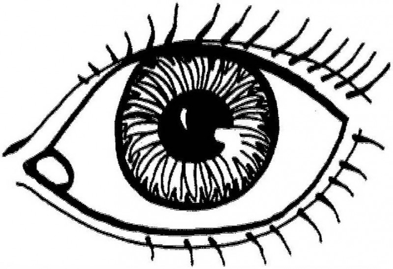 ocular anatomy coloring pages - photo #33