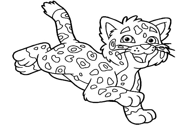 baby jaguar coloring pages - photo #17