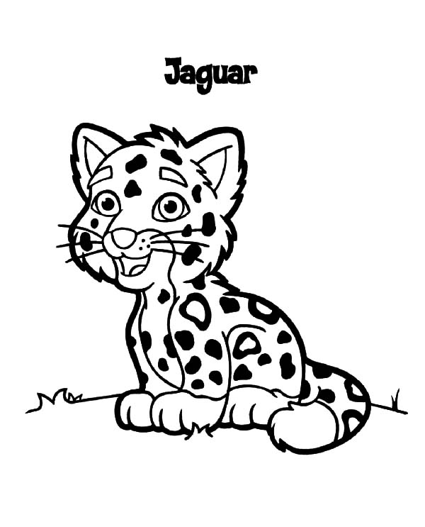 baby jaguar coloring pages - photo #26