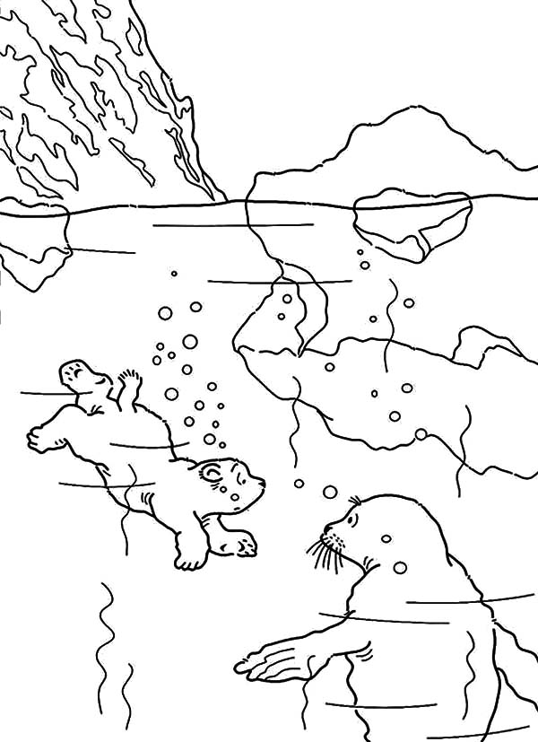 iceberg coloring pages - photo #27