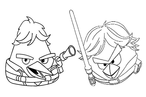 Angry Bird Star Wars, : Angry Bird Star Wars Han Solo and Luke Skywalker Coloring Pages