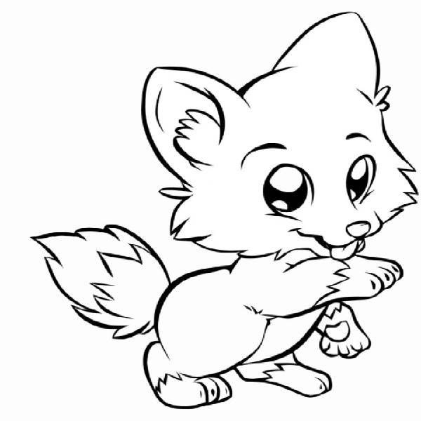 Fox, : Baby Fox Want to Touch You Coloring Pages