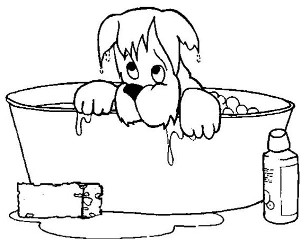 Bath, : Dog Soaking Wet When He Take a Bath Coloring Pages