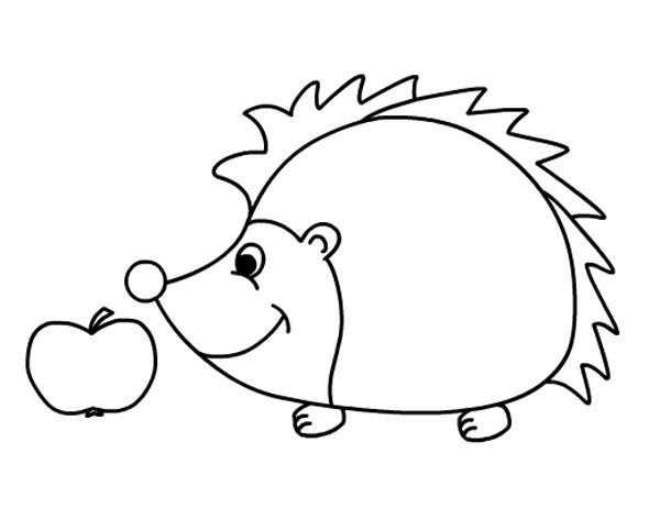 Hedgehogs, : Hedgehog Smelling Apple Colouring Pages