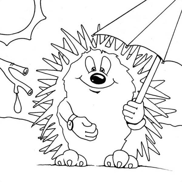 Hedgehogs, : Hedgehog Using Umbrella to Hide from the Sun Colouring Pages