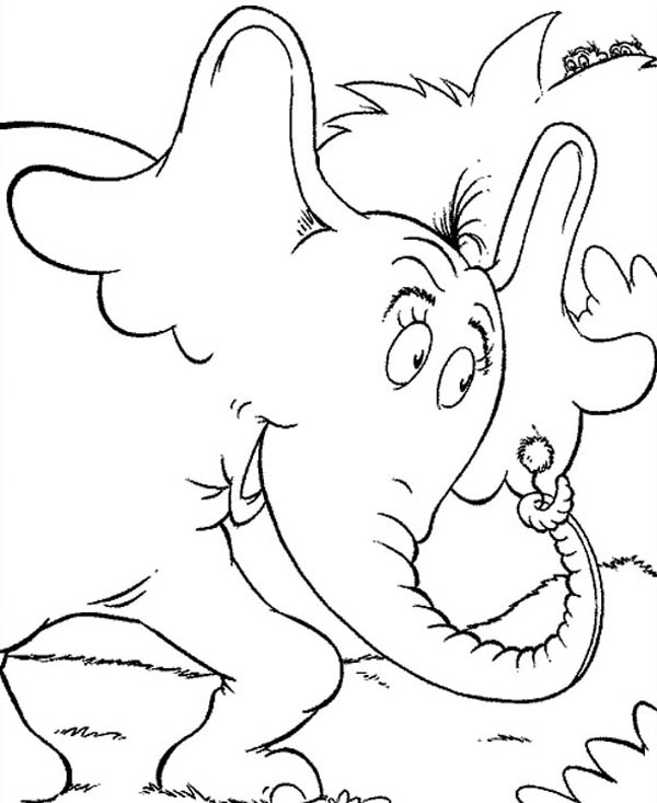Horton, : Horton Found Wild Flower Coloring Pages