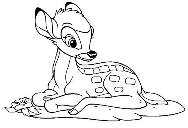 Bambi, : How to Draw Bambi Coloring Pages