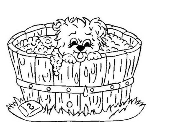 Bath, : Little Puppy Take a Bath in Wooden Pool Coloring Pages