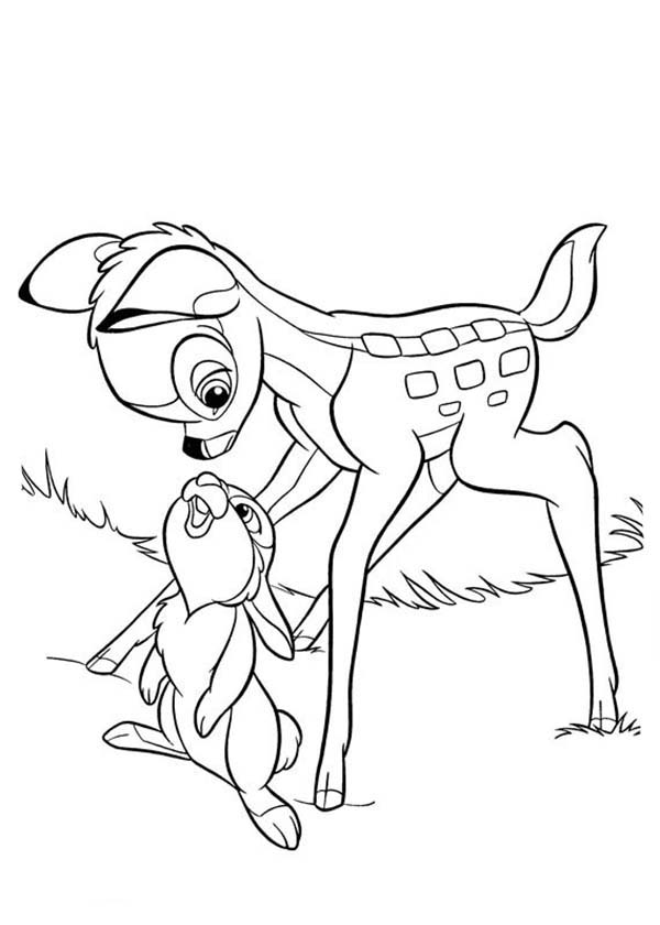 Bambi, : Thumper Looking at Bambi Chin Coloring Pages