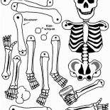 Human Anatomy, All Human Bones In Human Anatomy Coloring Pages: All Human Bones in Human Anatomy Coloring Pages