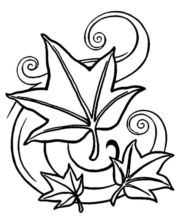Leaves, : Autumn Leaves Art Coloring Pages