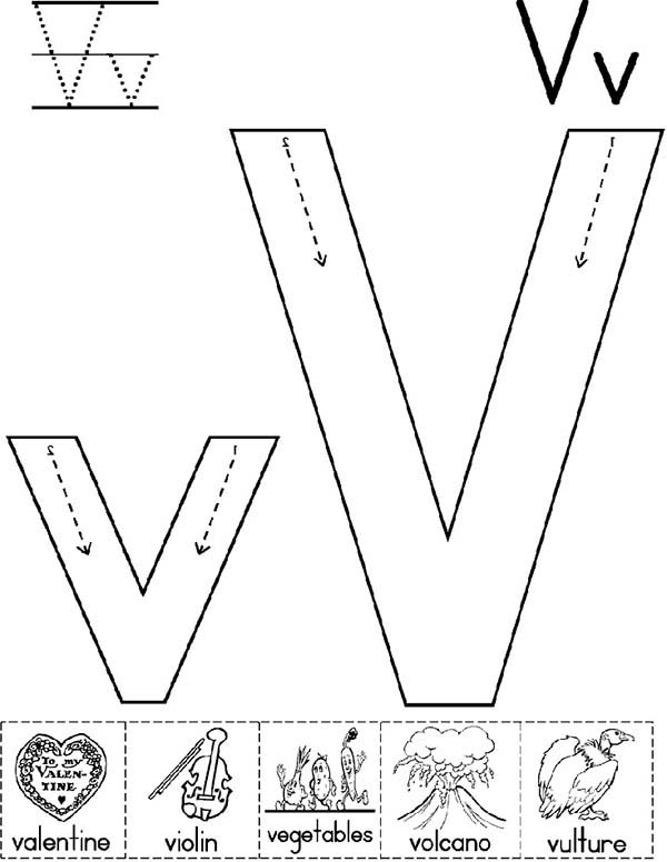 Letter V, : Big Case and Small Case of Letter V Coloring Page