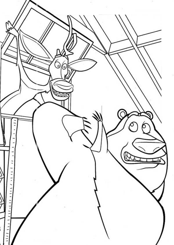 Oliver and Company, : Boog Shock to See Elliot Open the Window in Open Season Coloring Pages