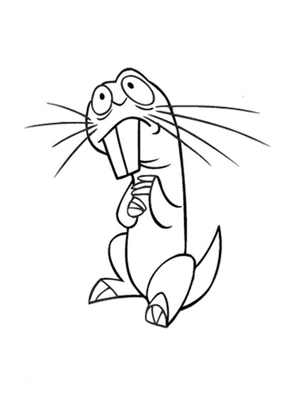 Kim Possible, : Cute Rufus from Kim Possible Coloring Pages