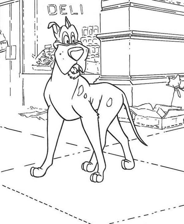 Oliver and Company, : Einstein Looking for Dodger in Oliver and Company Coloring Pages