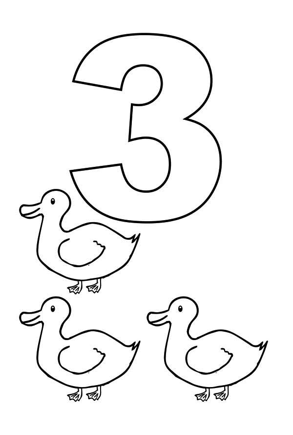 Number 3, : Learn Number 3 with Three Ducks Coloring Page