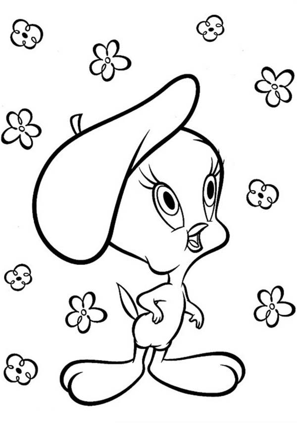 Looney Tunes, : Looney Tunes Coloring Pages Cute Little Tweety