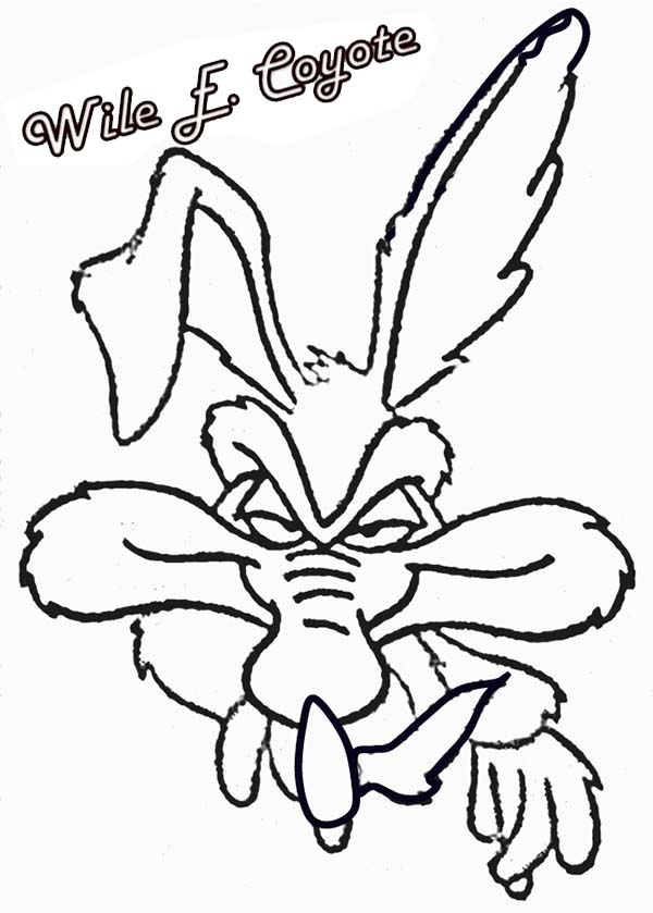 Looney Tunes, : Looney Tunes Coloring Pages Picture of Wile E Coyote