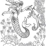 Mermaid, Mermaid Fairy And Sea Horse Coloring Pages: Mermaid Fairy and Sea Horse Coloring Pages