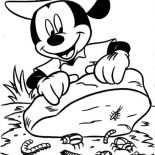 Mickey Mouse Safari, Mickey Mouse Safari Coloring Pages Mickey Found Many Insects Under The Rock: Mickey Mouse Safari Coloring Pages Mickey Found Many Insects Under the Rock