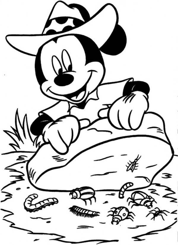 Mickey Mouse Safari, : Mickey Mouse Safari Coloring Pages Mickey Found Many Insects Under the Rock