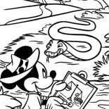 Mickey Mouse Safari, Mickey Mouse Safari Coloring Pages Mickey Meet A Big Boa Snake: Mickey Mouse Safari Coloring Pages Mickey Meet a Big Boa Snake