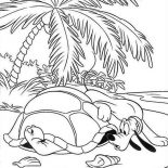 Mickey Mouse Safari, Mickey Mouse Safari At Galapagos Coloring Pages: Mickey Mouse Safari at Galapagos Coloring Pages