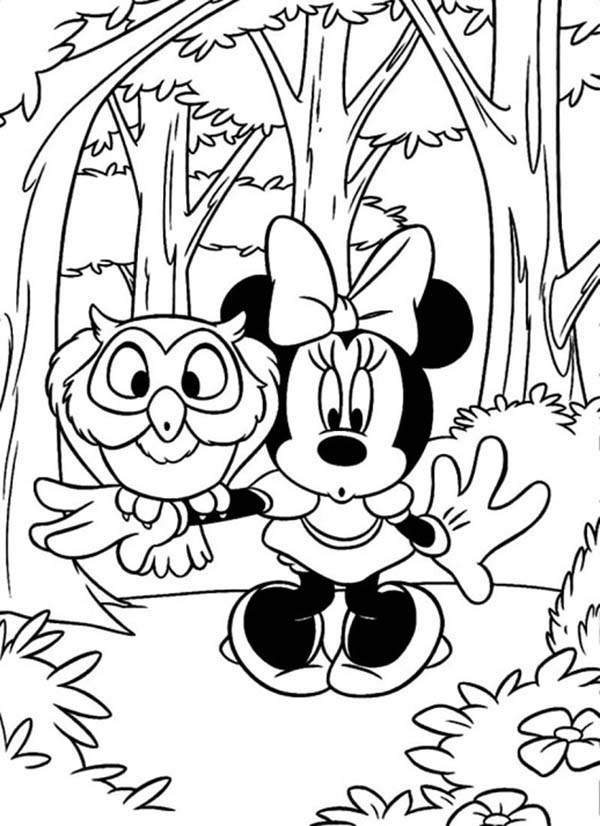Mickey Mouse Safari, : Minnie Mouse and an Owl in the Mickey Mouse Safari Coloring Pages
