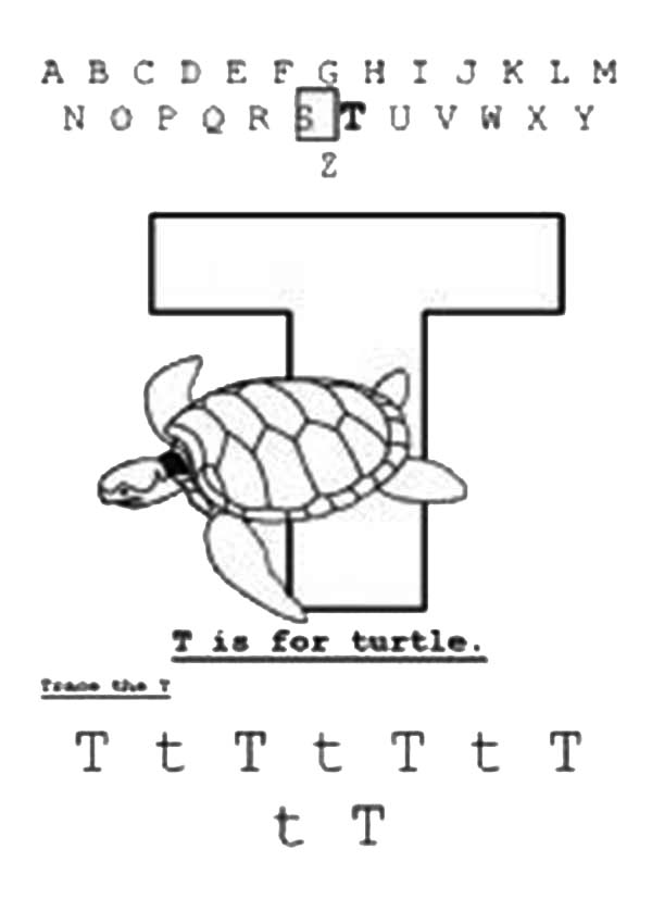Letter T, : Turtle is for Learn Letter T Coloring Page