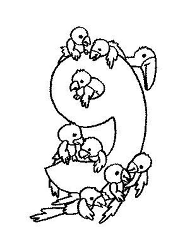 Number 9, : Count the Bird to Number 9 Coloring Page