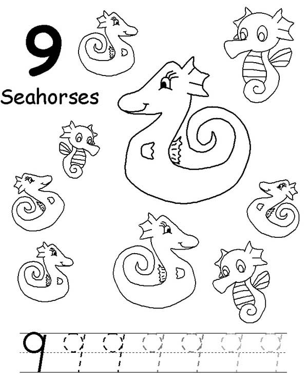 Number 9, : Learn Number 9 with Nine Seahorses Coloring Page