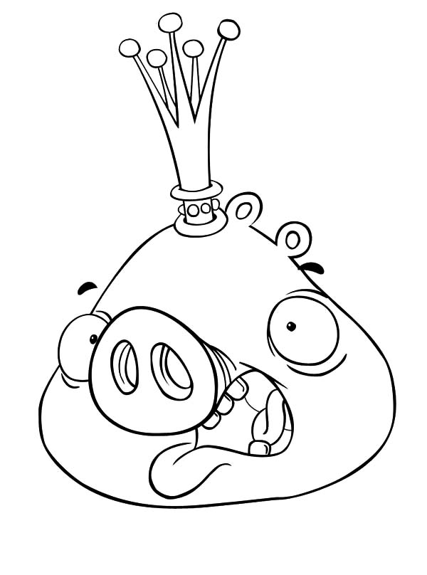 Angry Bird Pigs, : Angry Bird Pigs King Coloring Pages
