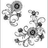 Aster Flower, Aster Flower Deviant Art Coloring Pages: Aster Flower Deviant Art Coloring Pages