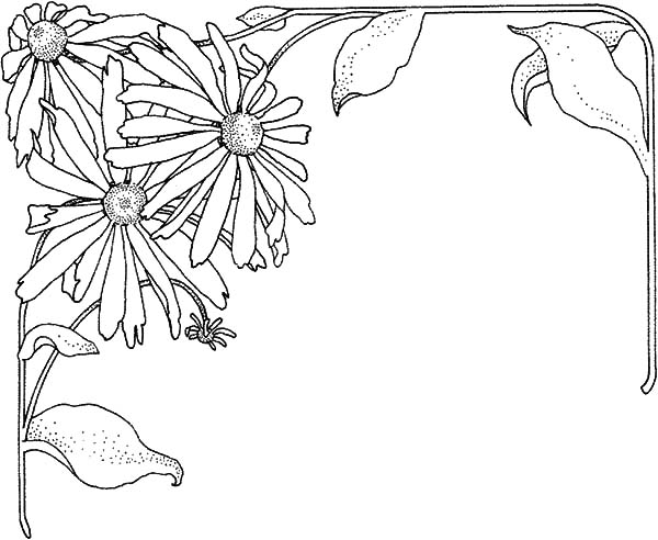 Aster Flower, : Aster Flower Frame Coloring Pages