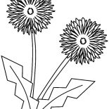 Aster Flower, Aster Flower Origami Coloring Pages: Aster Flower Origami Coloring Pages
