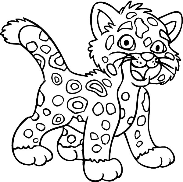 Jaguar, : Laughing Jaguar Coloring Pages