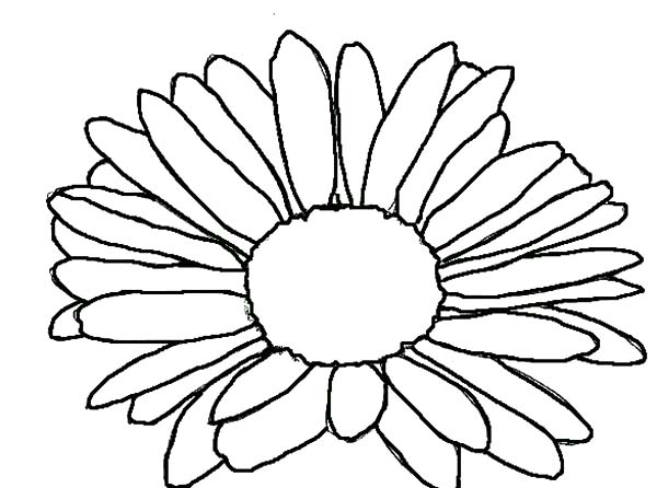 Aster Flower, : Simple Drawing Aster Flower Coloring Pages